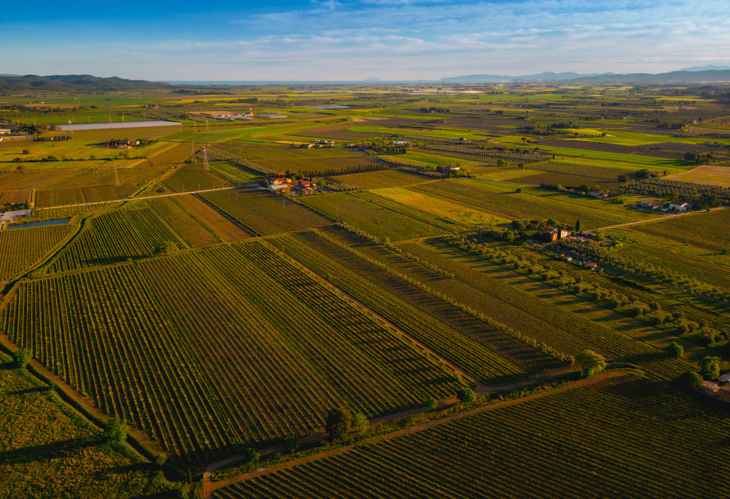 Gualdo del Re - Toscana