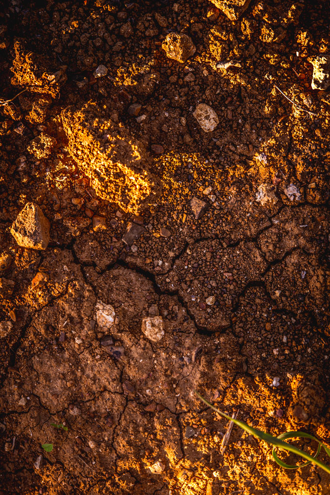 Gualdo del Re - Toscana