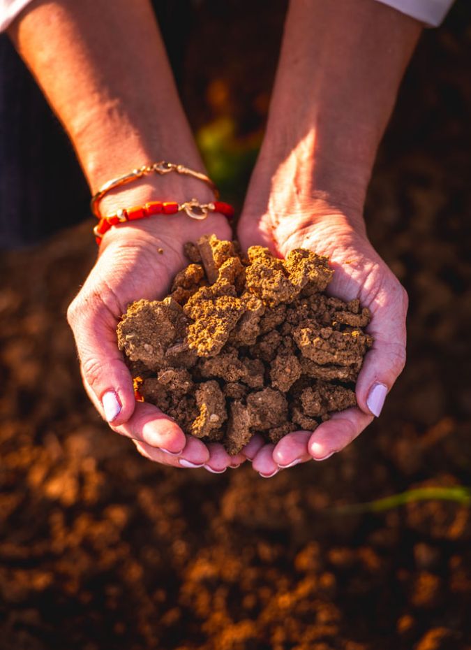 Gualdo del Re - Toscana